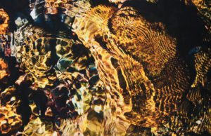 Daniel Ripp's "Golden Shimmers"